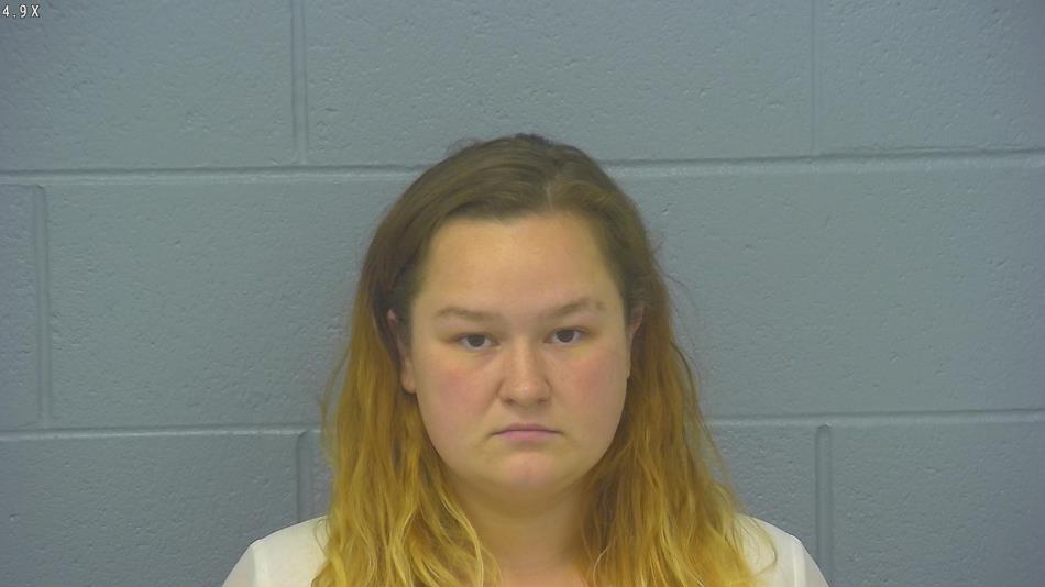 Arrest photo of SHANNON LAIR