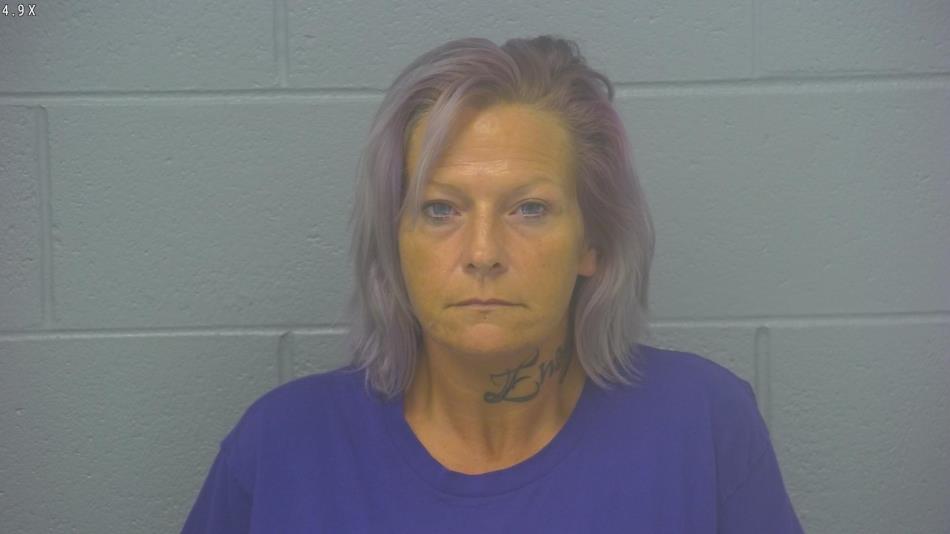 Arrest photo of SHANNON BICKLE