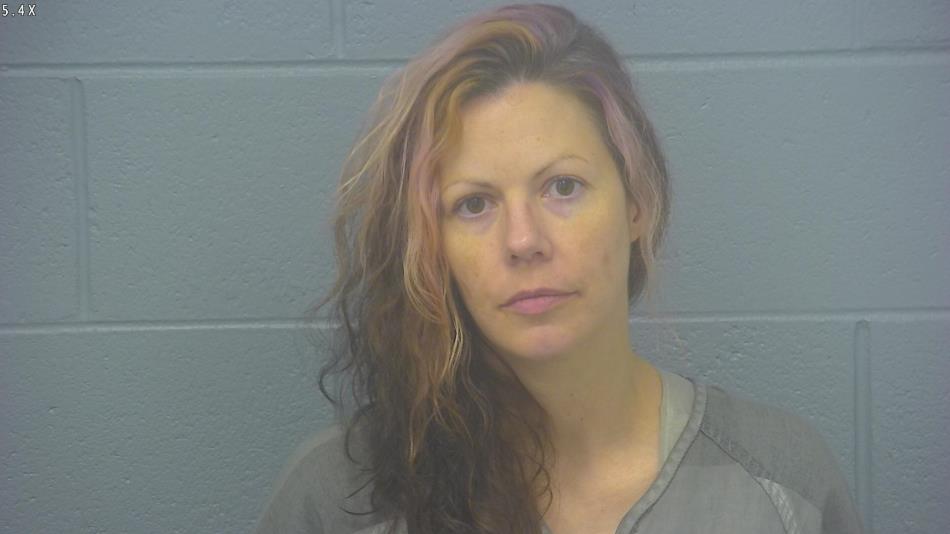 Arrest photo of SHANNON FOSTER