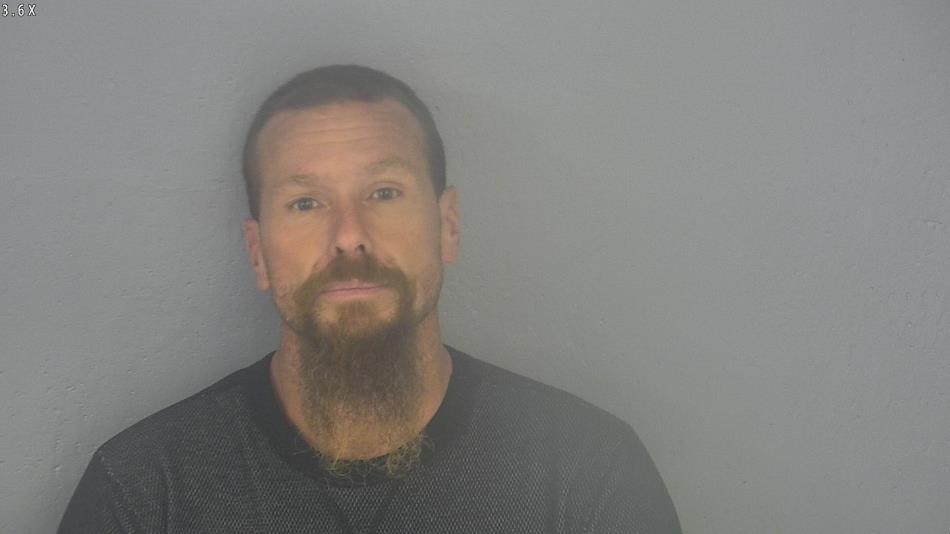 Arrest photo of SHANNON FIELDS