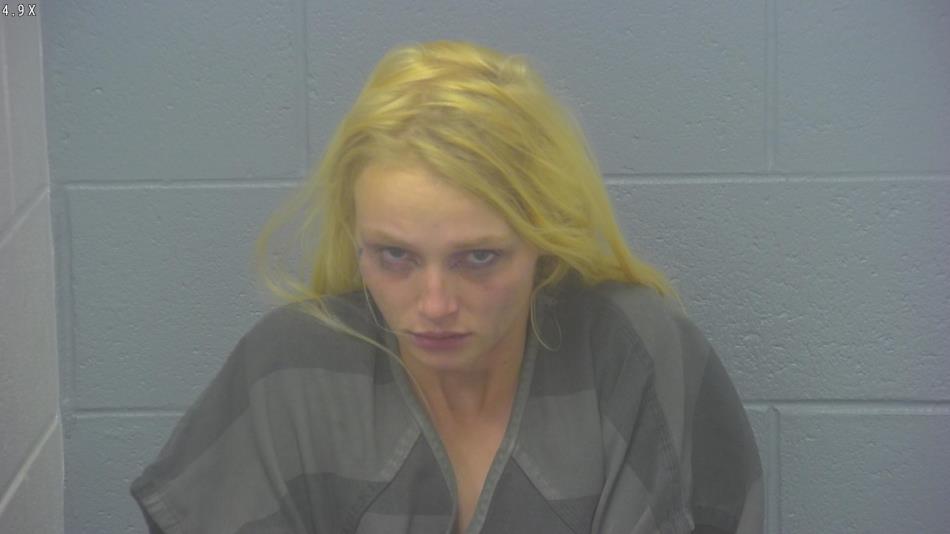 Arrest photo of SHANTELLA SEVERANCE