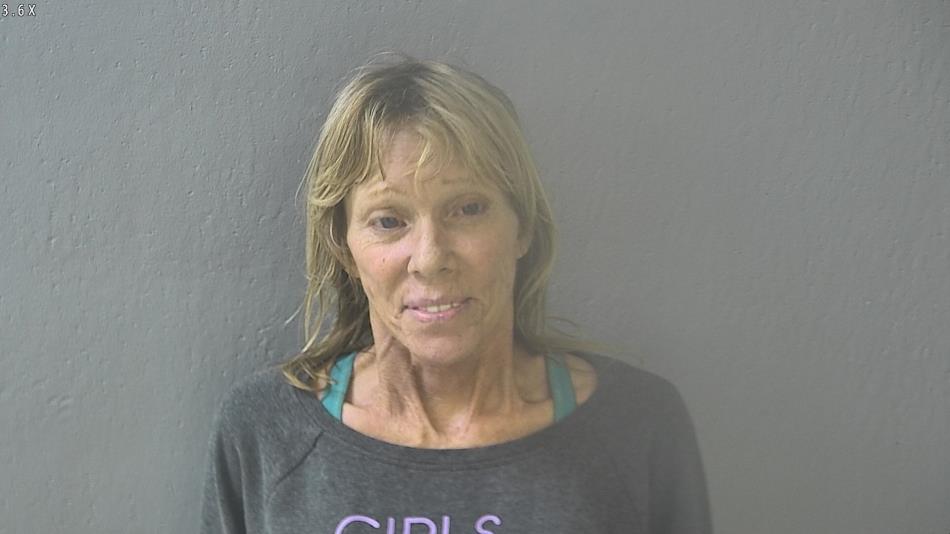 Arrest photo of SHARON CULLINAN