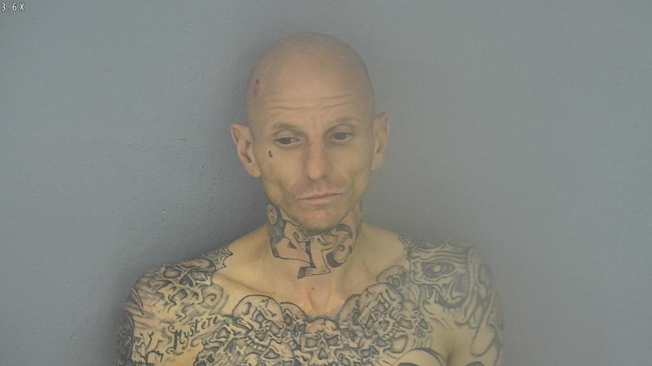 Arrest photo of SHAUN WILLIAMS