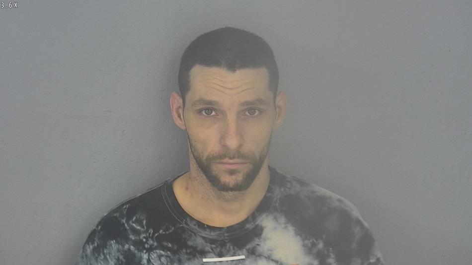 Arrest photo of SHAUN SWISHER