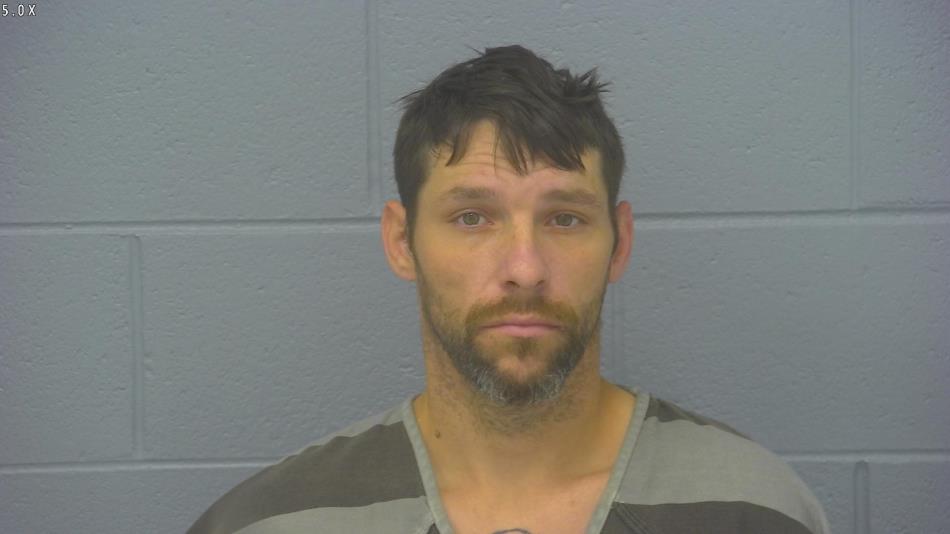 Arrest photo of SHAUN SWISHER
