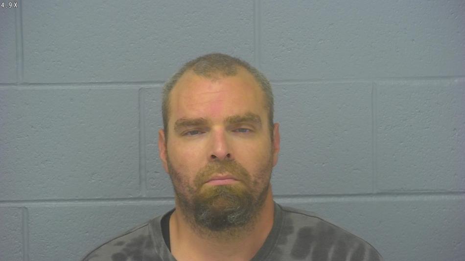 Arrest photo of SHAWN PATTON