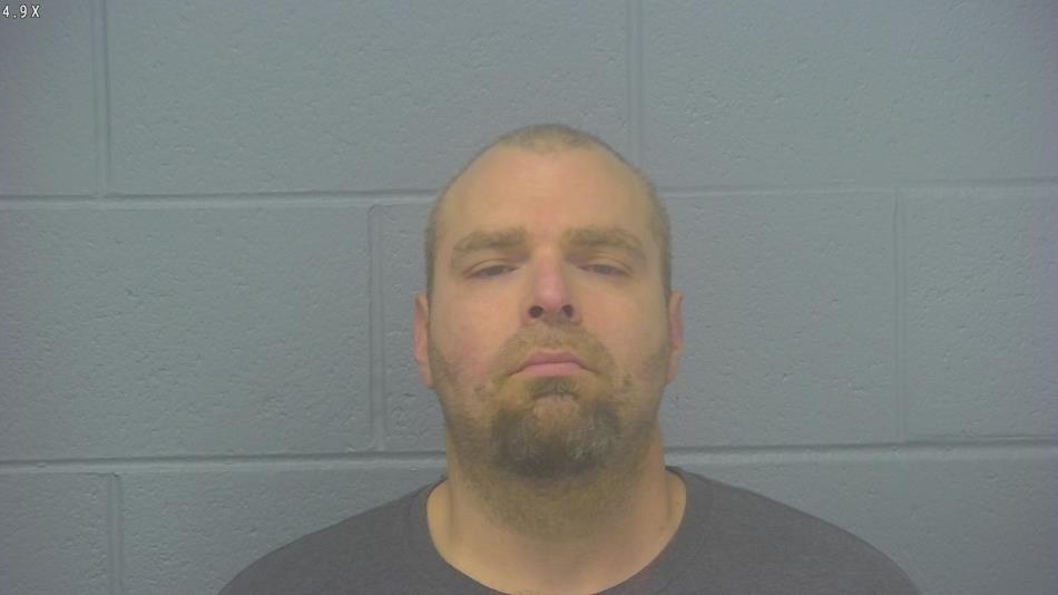 Arrest photo of SHAWN PATTON