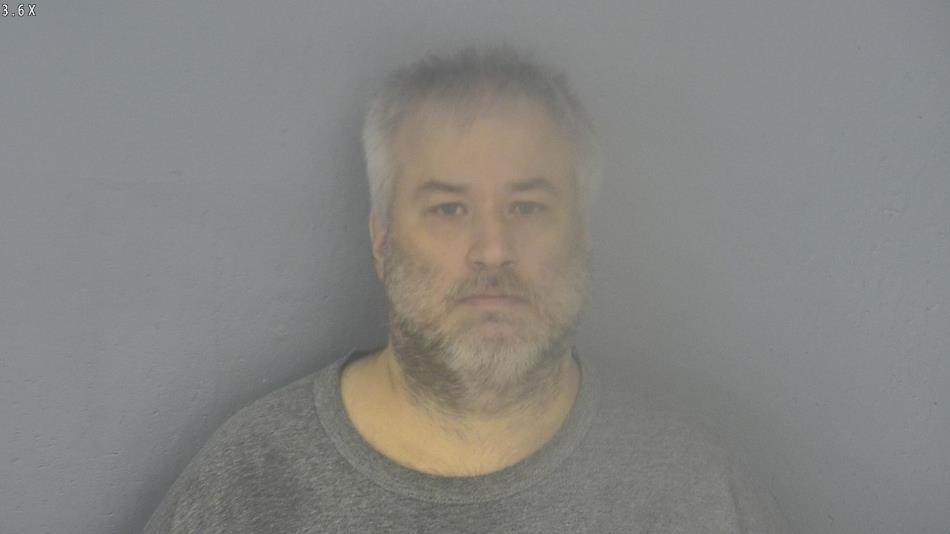 Arrest photo of SHAWN SWAN