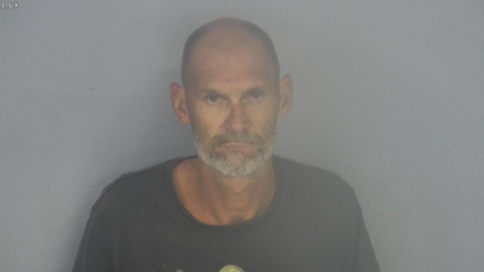 Arrest photo of SHAWN BRAND