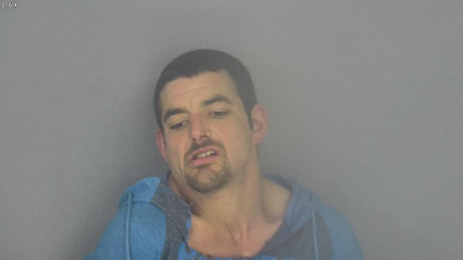 Arrest photo of SHAWN LALOND