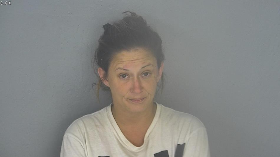Arrest photo of SHAWNA PETTIT