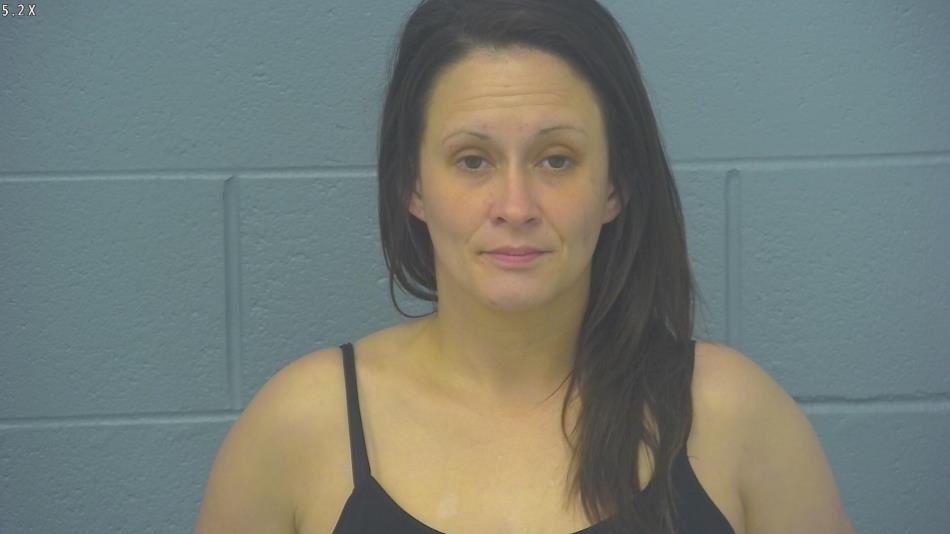 Arrest photo of SHAWNA PETTIT