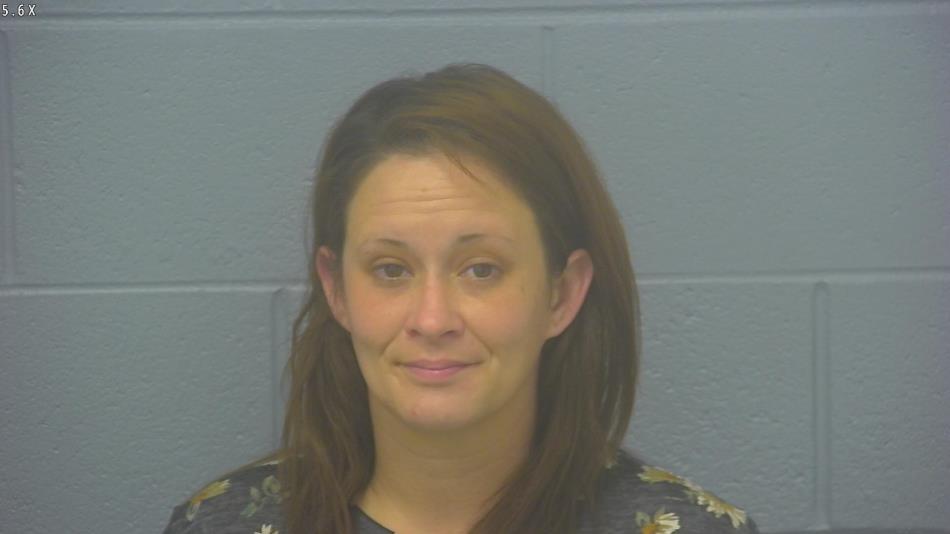 Arrest photo of SHAWNA PETTIT