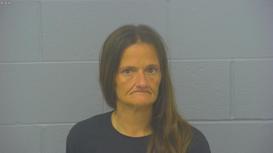 Arrest photo of SHAWNA INCE