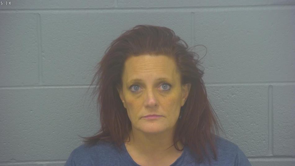 Arrest photo of SHAWNDA SCHMIDT