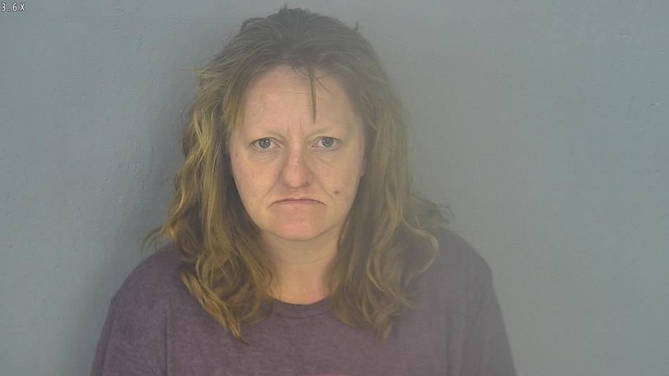 Arrest photo of SHAWNDRA ALTIC