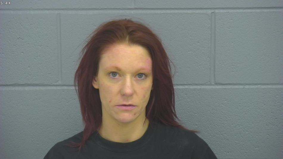 Arrest photo of SHAY OLSON