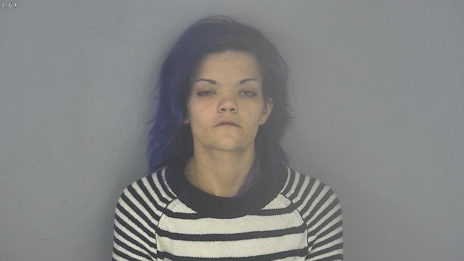 Arrest photo of SHAYLIN HERNANDEZ