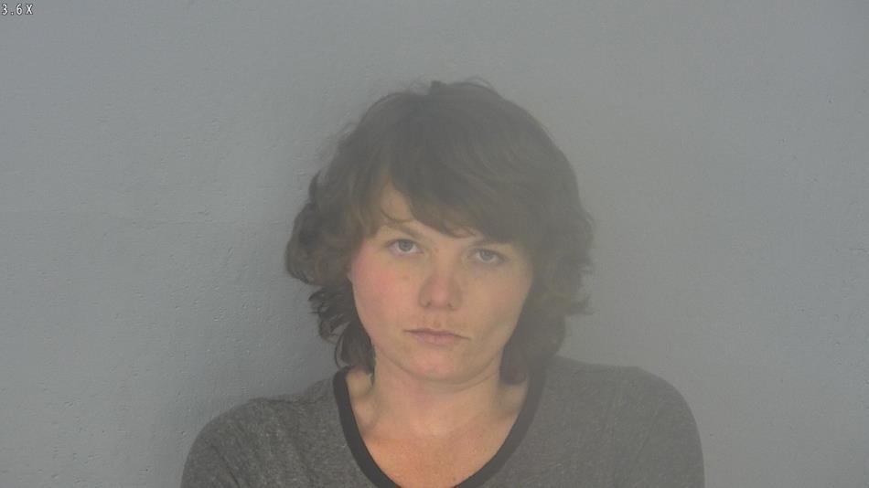 Arrest photo of SHAYLYNN LARSEN