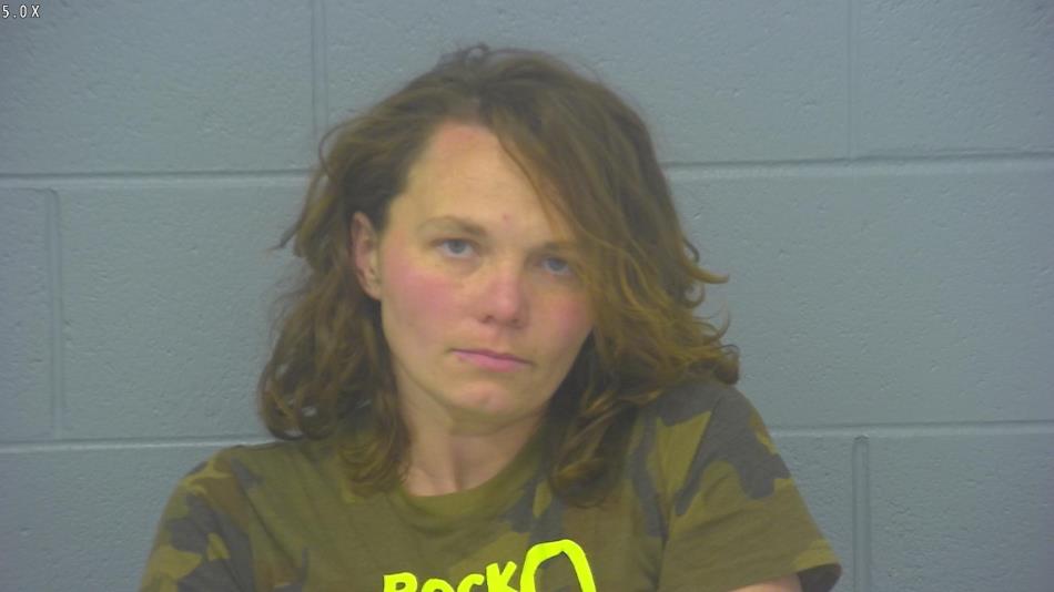 Arrest photo of SHAYLYNN LARSEN