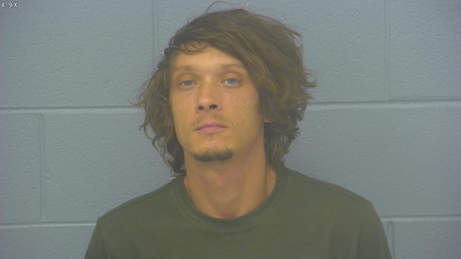 Arrest photo of SHEA LEAVER