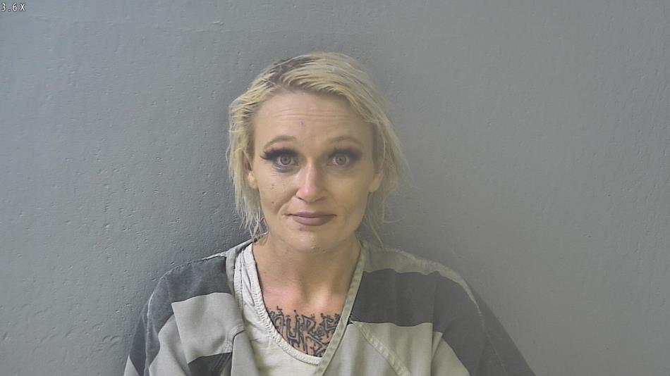 Arrest photo of SHELBI COBB