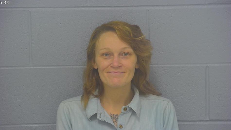 Arrest photo of SHELBI COBB