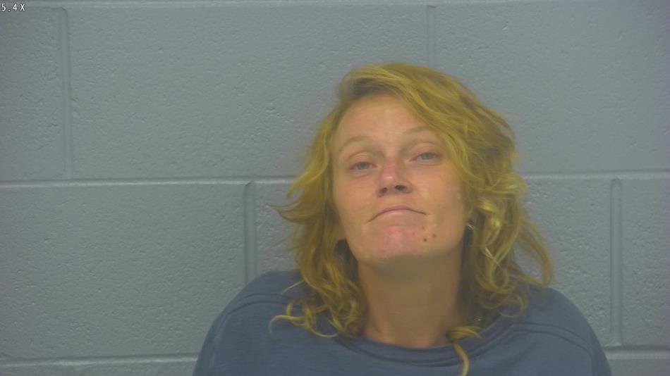 Arrest photo of SHELBI COBB