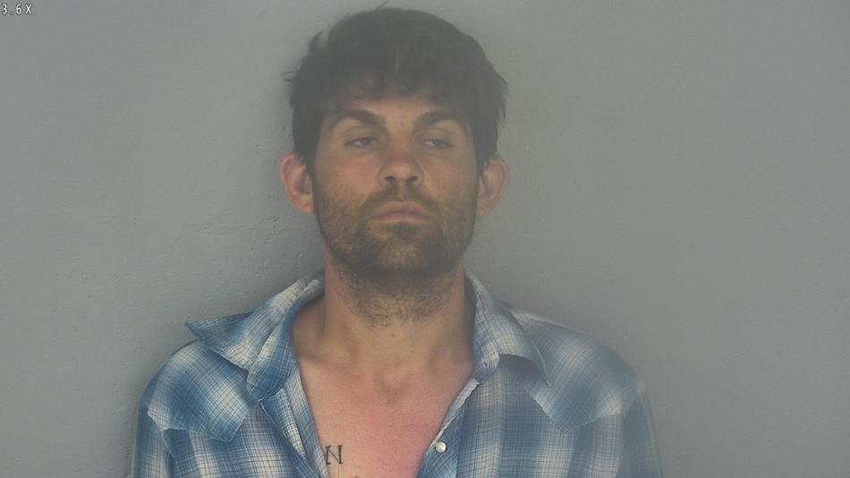 Arrest photo of SHELDIN MITCHELL