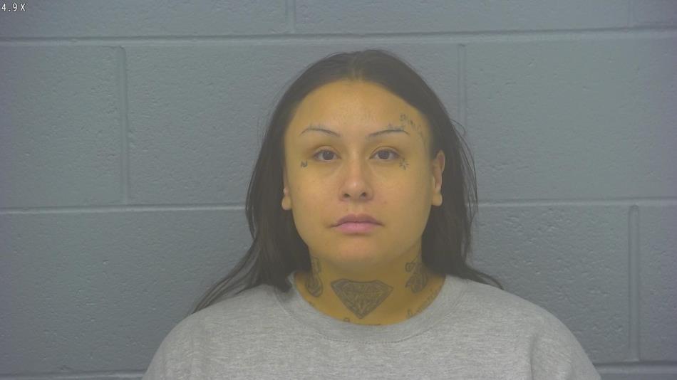 Arrest photo of SHELINA MARTINEZ