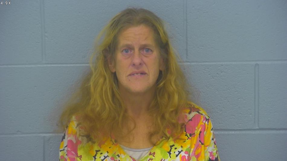 Arrest photo of SHERRI DANIELS