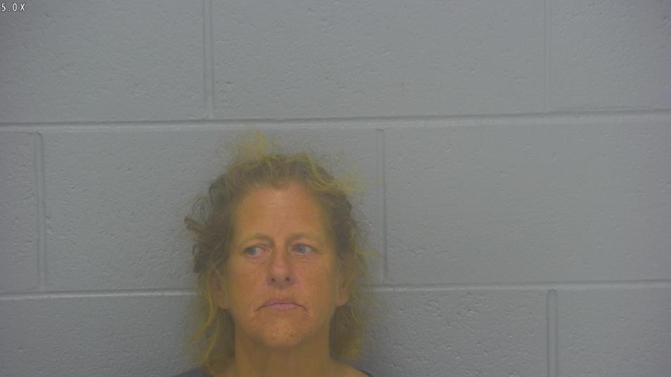 Arrest photo of SHERRI DANIELS