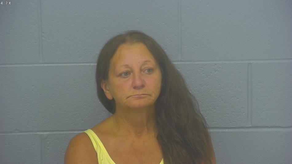 Arrest photo of SHERRI BROWN