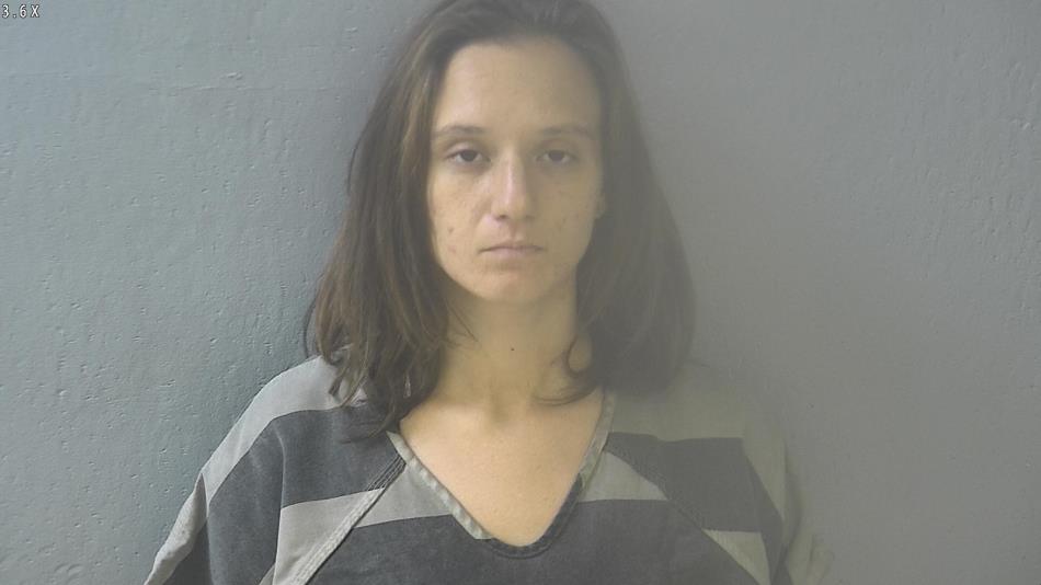 Arrest photo of SIERRA WERNER