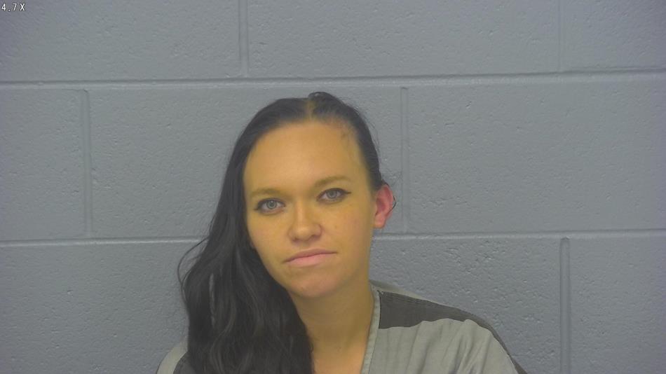 Arrest photo of SKY GRAY