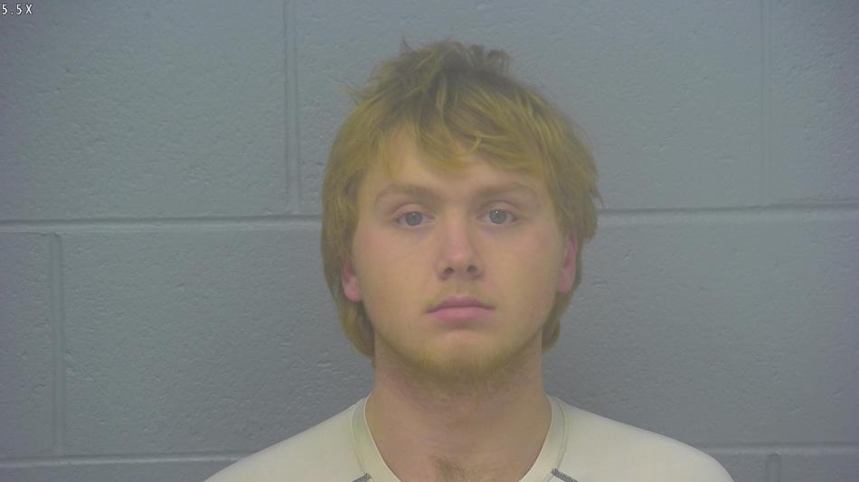 Arrest photo of SKYLER JAMES