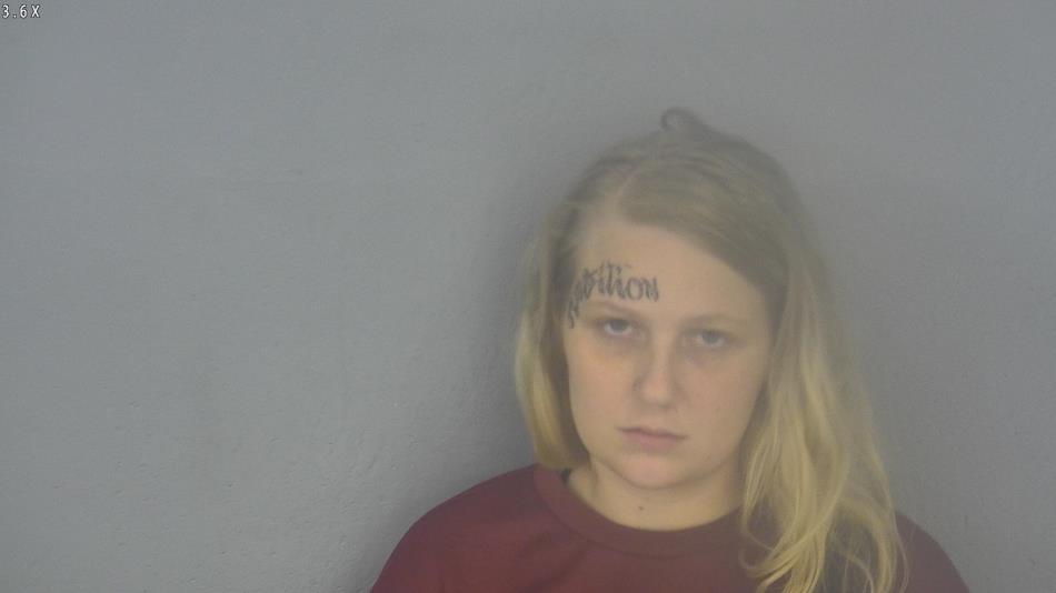 Arrest photo of SKYLER STARK