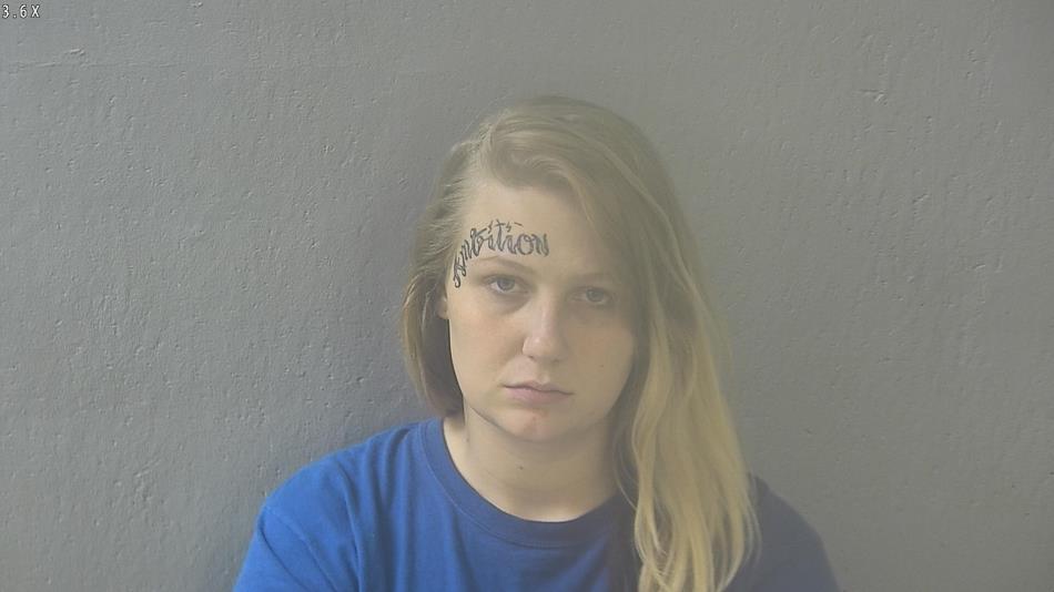 Arrest photo of SKYLER STARK