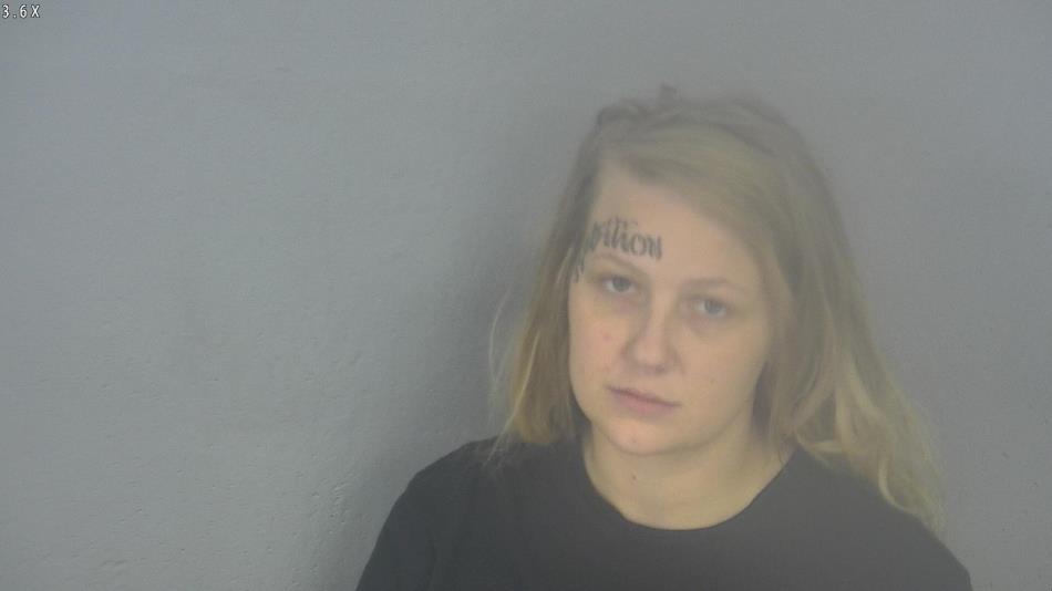 Arrest photo of SKYLER STARK