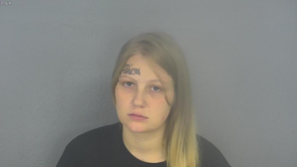Arrest photo of SKYLER STARK
