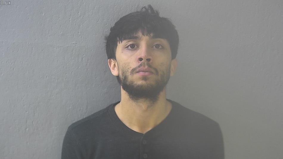 Arrest photo of SKYLER SHELL