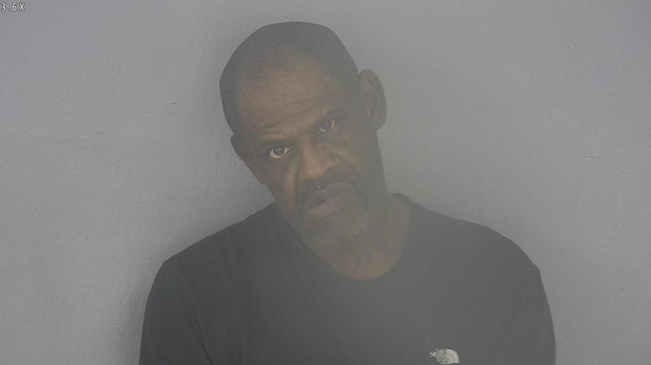 Arrest photo of SONNIE JOHNSON