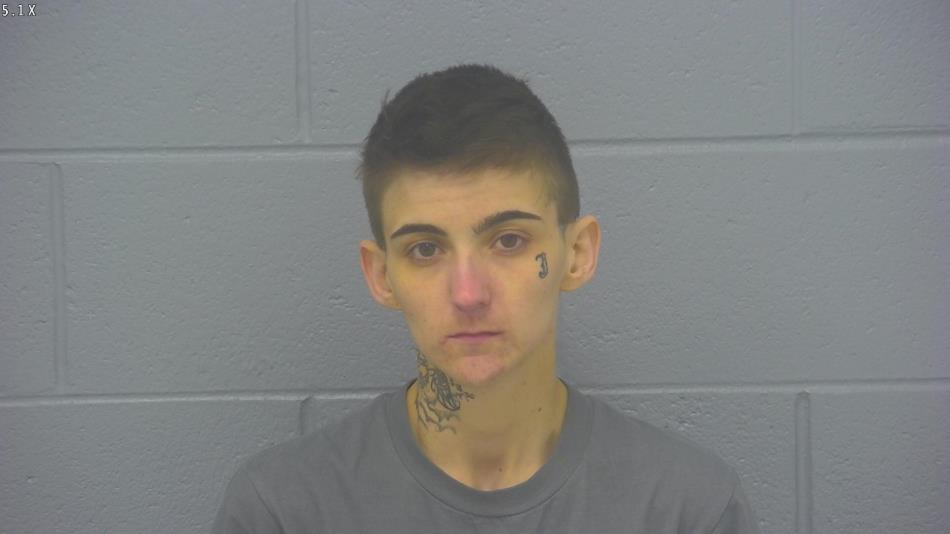 Arrest photo of SPRING HICKS