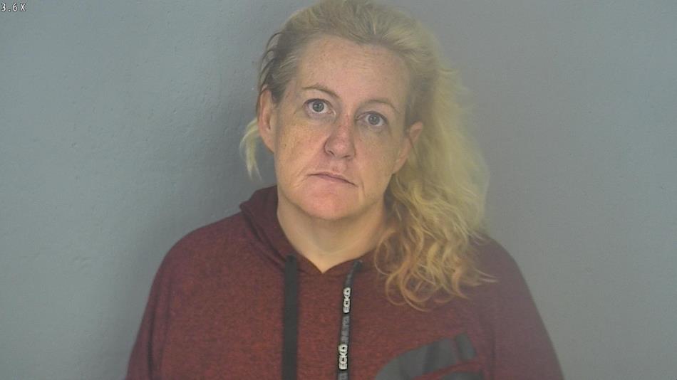 Arrest photo of STACEY JOHNS