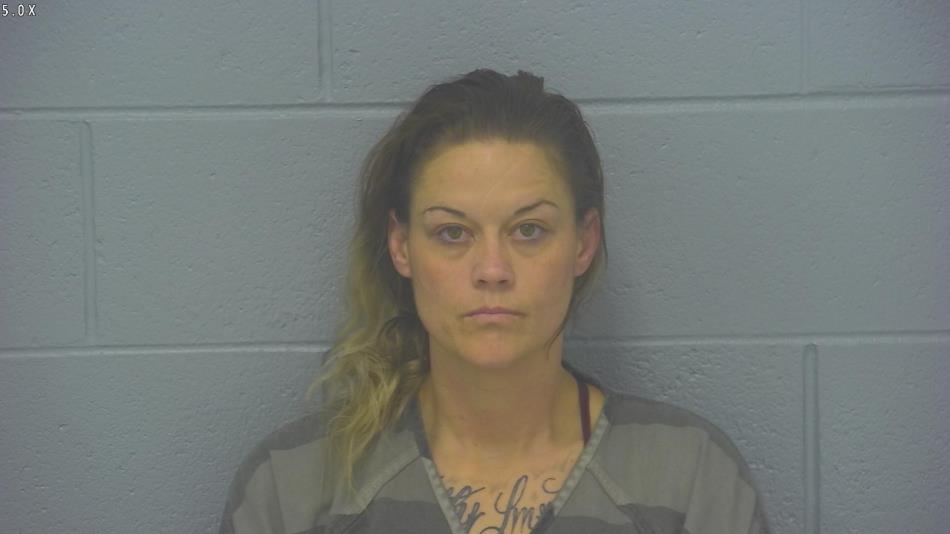 Arrest photo of STACY TANNER