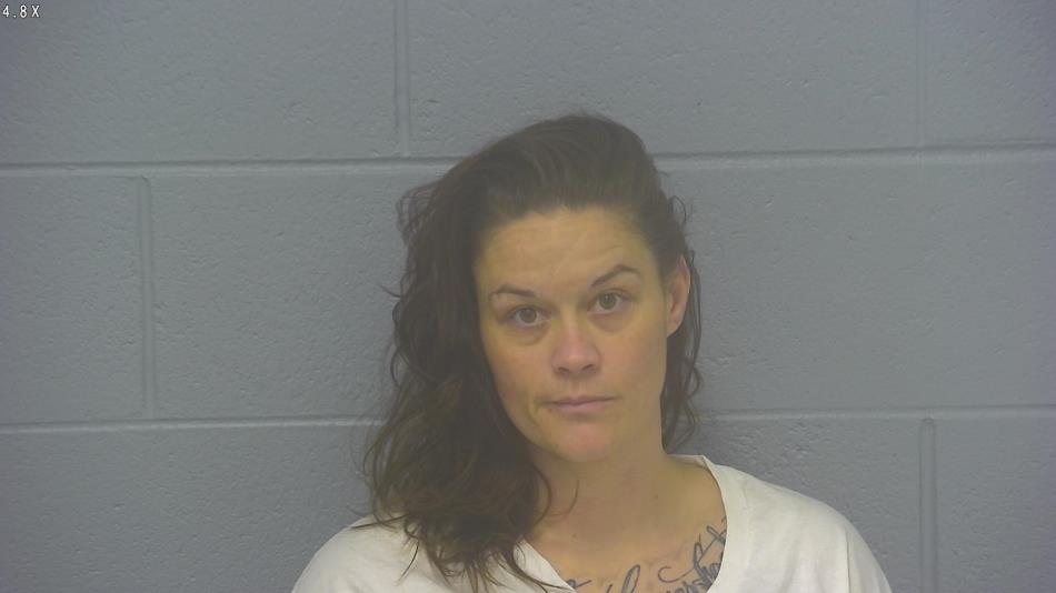 Arrest photo of STACY TANNER