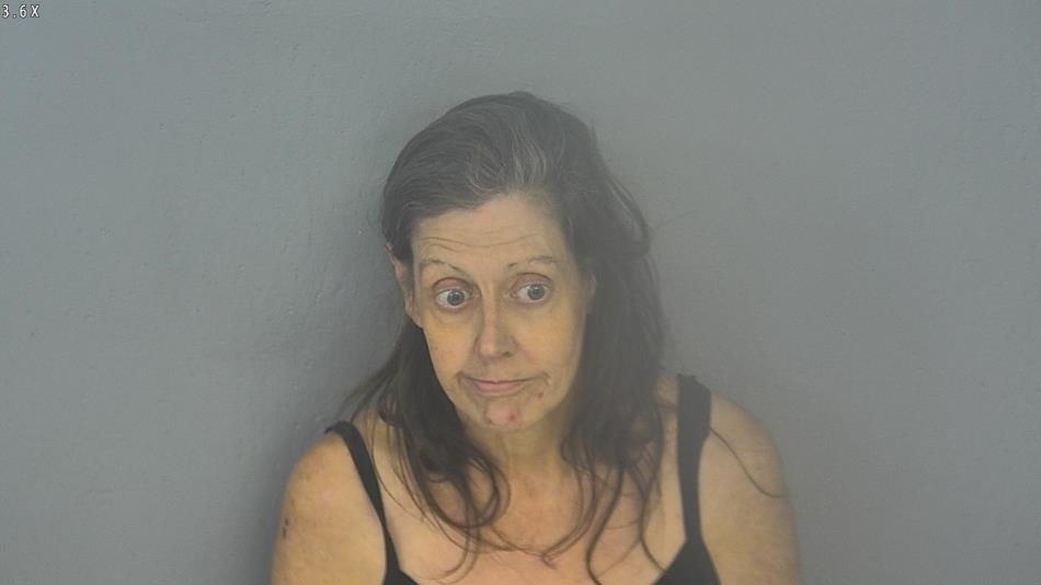 Arrest photo of STACY INGRAM