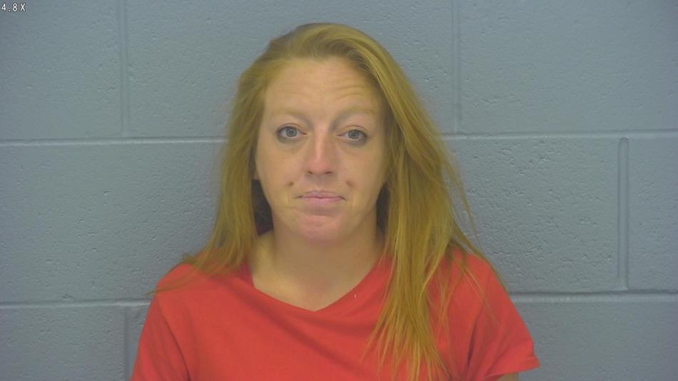 Arrest photo of STEFFANIE GARNER