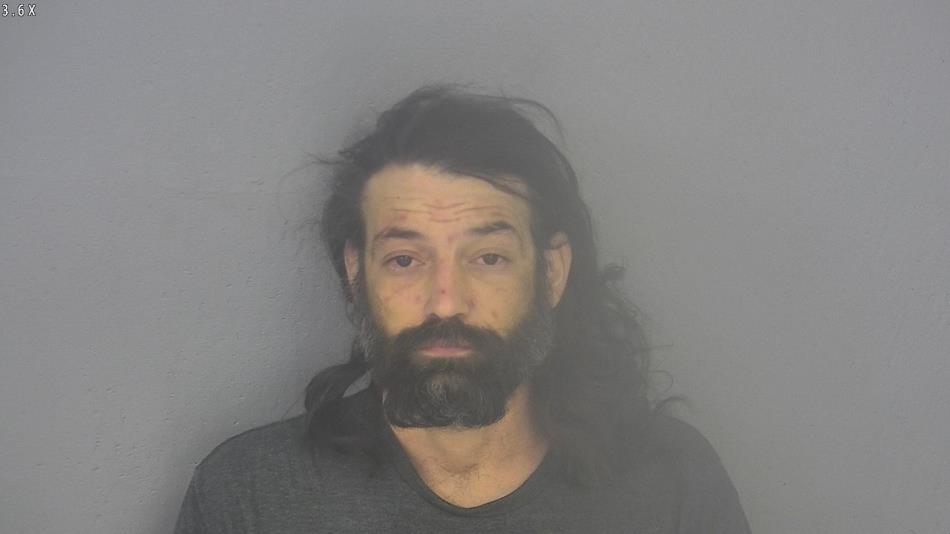 Arrest photo of STEFFEN SANDGREN