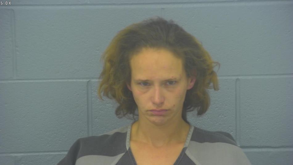 Arrest photo of STEPHANIE VOSE